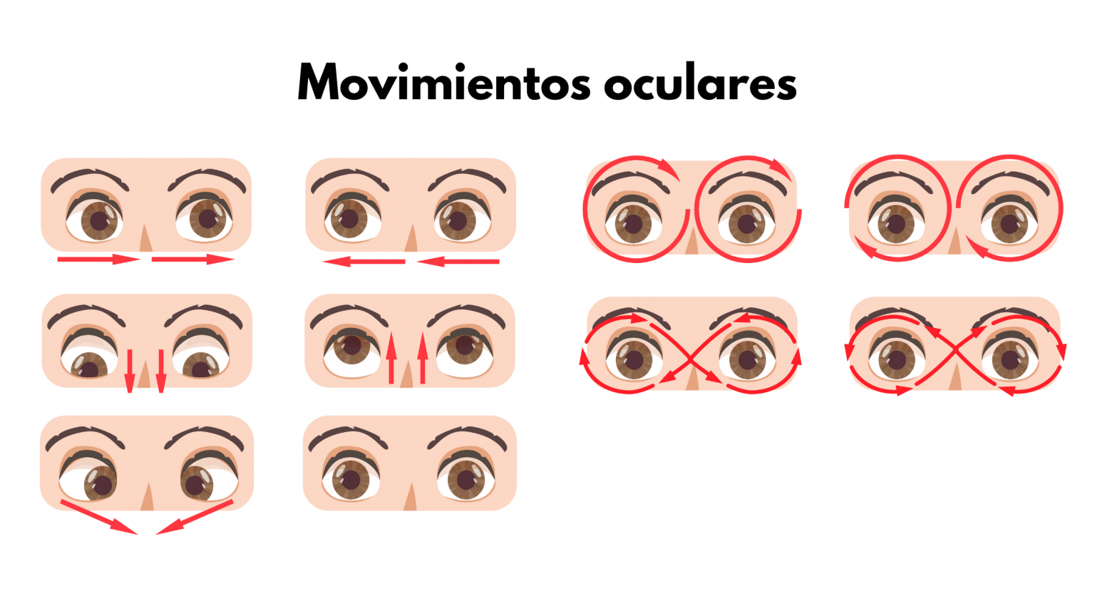 Ilustración de movimientos oculares y pausas visuales